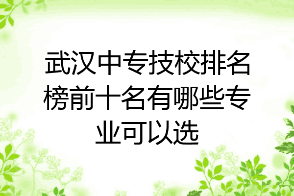 武汉中专技校排名榜前十名有哪些专业可以选