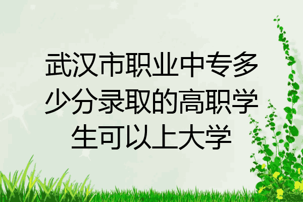 武汉市职业中专多少分录取的高职学生可以上大学