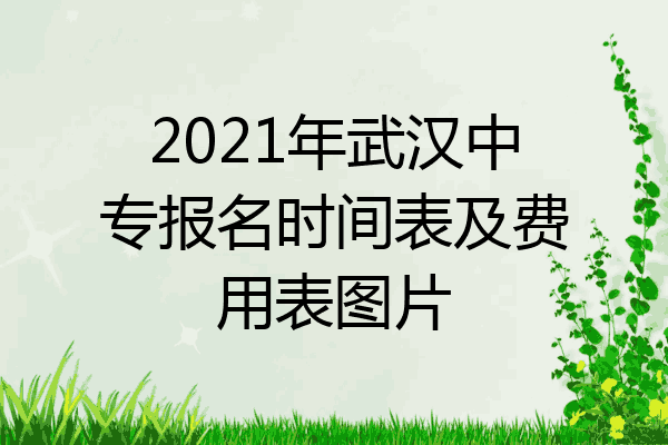 2021年武汉中专报名时间表及费用表图片