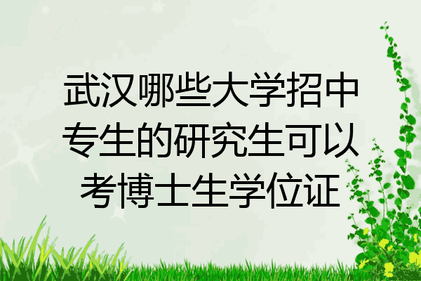 武汉哪些大学招中专生的研究生可以考博士生学位证