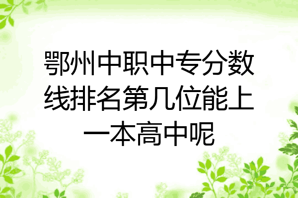 鄂州中职中专分数线排名第几位能上一本高中呢
