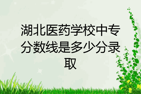 湖北医药学校中专分数线是多少分录取