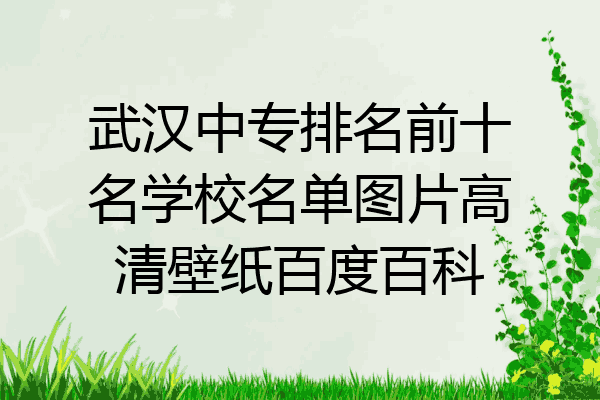 武汉中专排名前十名学校名单图片高清壁纸百度百科