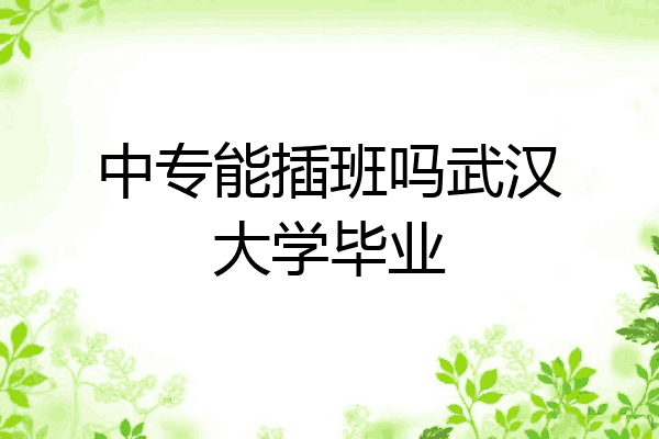 中专能插班吗武汉大学毕业