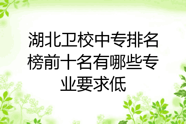 湖北卫校中专排名榜前十名有哪些专业要求低