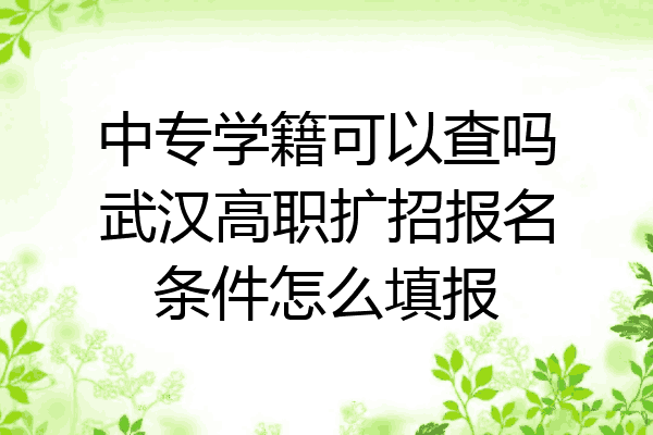 中专学籍可以查吗武汉高职扩招报名条件怎么填报