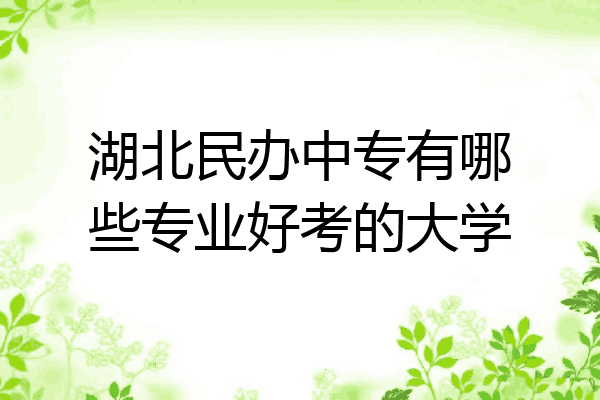 湖北民办中专有哪些专业好考的大学