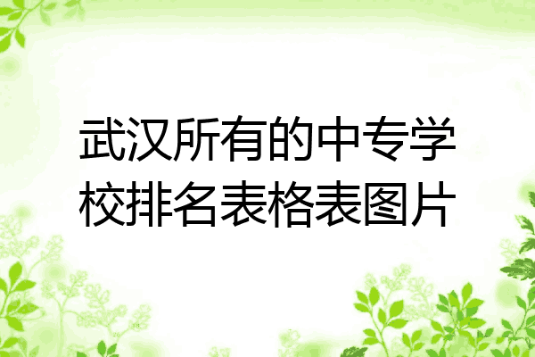 武汉所有的中专学校排名表格表图片