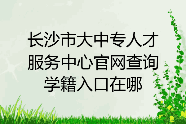 长沙市大中专人才服务中心官网查询学籍入口在哪