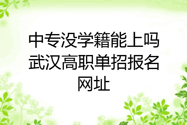 中专没学籍能上吗武汉高职单招报名网址