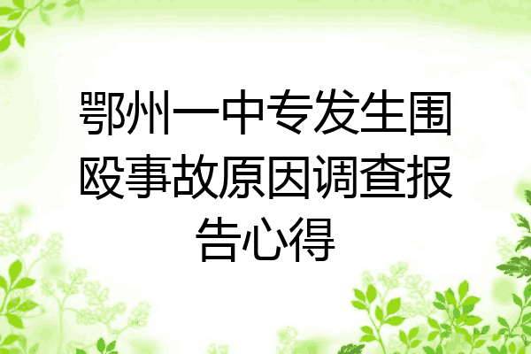 鄂州一中专发生围殴事故原因调查报告心得