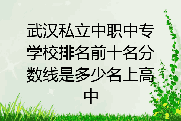 武汉私立中职中专学校排名前十名分数线是多少名上高中