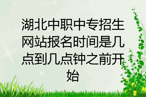 湖北中职中专招生网站报名时间是几点到几点钟之前开始