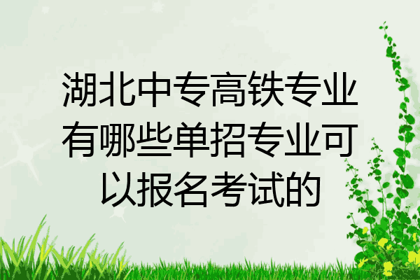 湖北中专高铁专业有哪些单招专业可以报名考试的