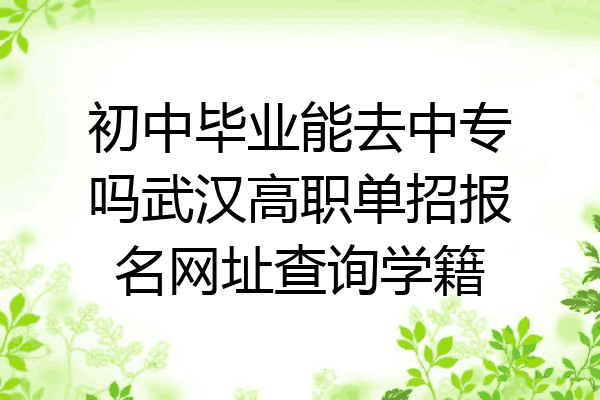 初中毕业能去中专吗武汉高职单招报名网址查询学籍