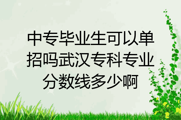中专毕业生可以单招吗武汉专科专业分数线多少啊