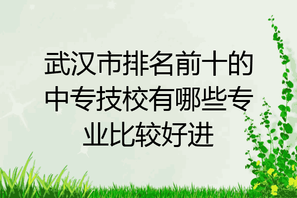 武汉市排名前十的中专技校有哪些专业比较好进