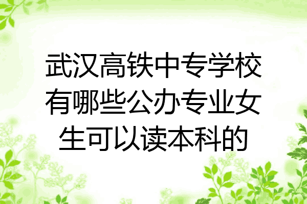 武汉高铁中专学校有哪些公办专业女生可以读本科的