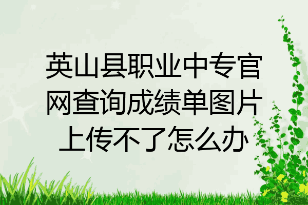英山县职业中专官网查询成绩单图片上传不了怎么办