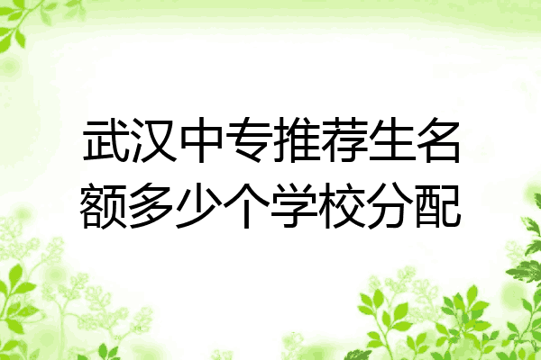 武汉中专推荐生名额多少个学校分配