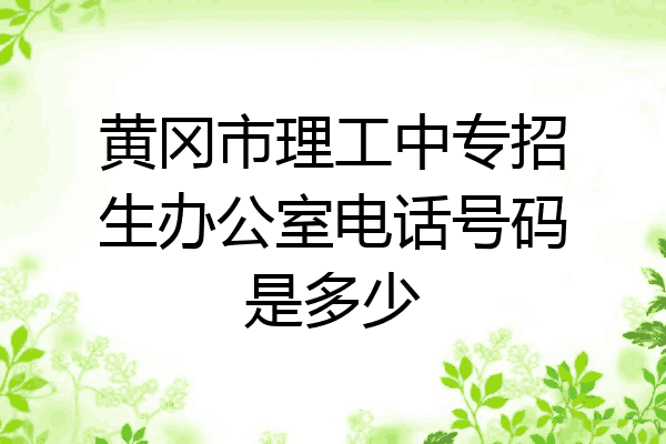 黄冈市理工中专招生办公室电话号码是多少