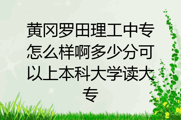 黄冈罗田理工中专怎么样啊多少分可以上本科大学读大专