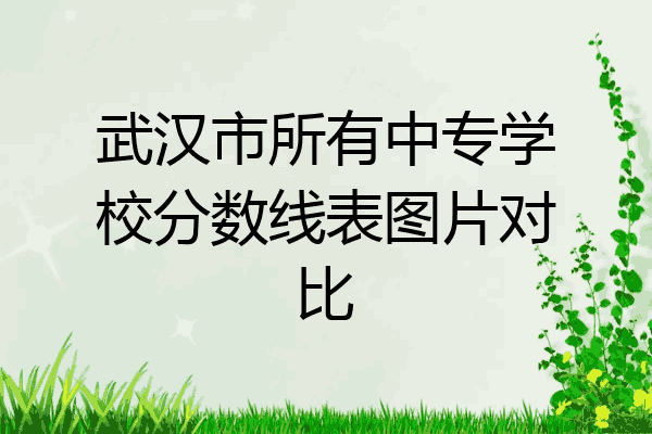 武汉市所有中专学校分数线表图片对比