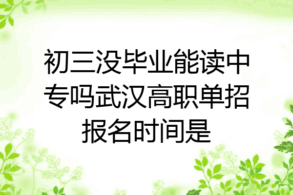 初三没毕业能读中专吗武汉高职单招报名时间是