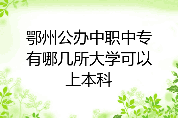 鄂州公办中职中专有哪几所大学可以上本科