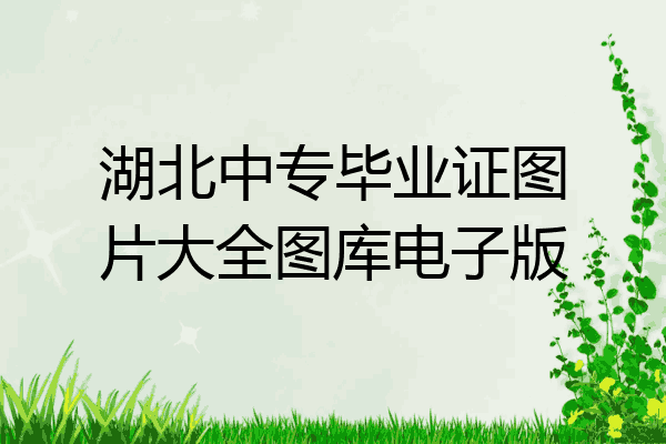 湖北中专毕业证图片大全图库电子版