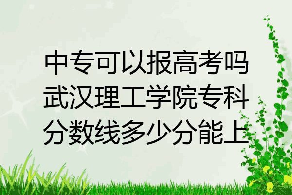 中专可以报高考吗武汉理工学院专科分数线多少分能上