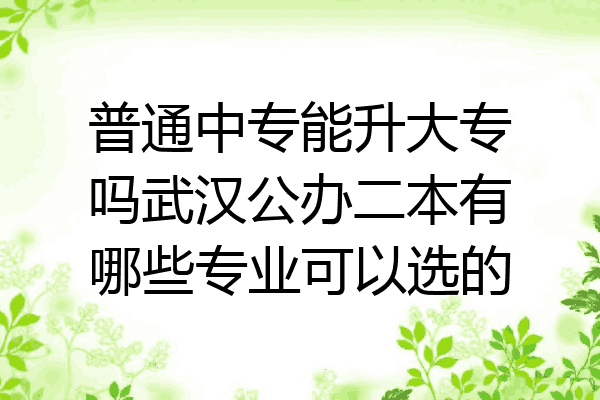 普通中专能升大专吗武汉公办二本有哪些专业可以选的
