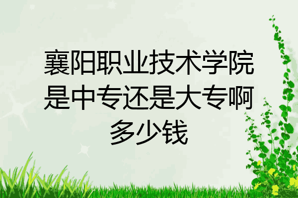 襄阳职业技术学院是中专还是大专啊多少钱