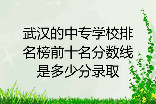 武汉的中专学校排名榜前十名分数线是多少分录取