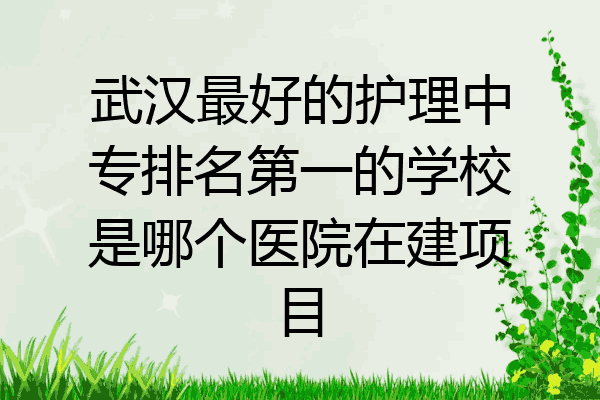 武汉最好的护理中专排名第一的学校是哪个医院在建项目