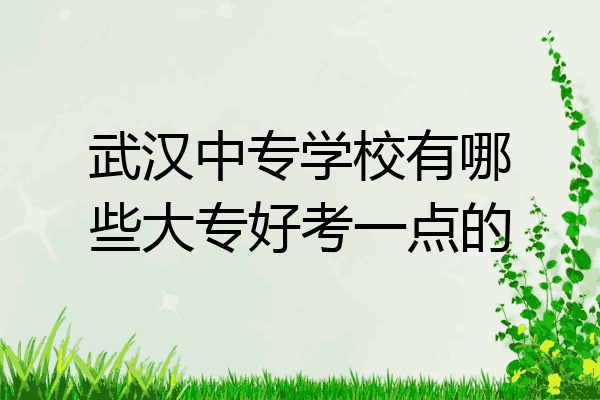 武汉中专学校有哪些大专好考一点的