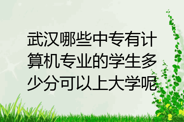 武汉哪些中专有计算机专业的学生多少分可以上大学呢