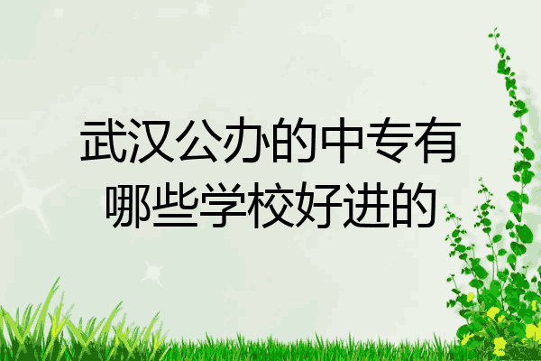 武汉公办的中专有哪些学校好进的