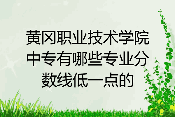 黄冈职业技术学院中专有哪些专业分数线低一点的