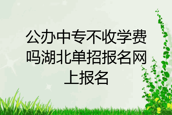 公办中专不收学费吗湖北单招报名网上报名