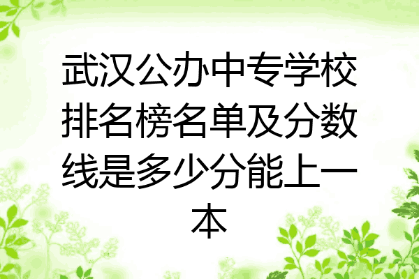 武汉公办中专学校排名榜名单及分数线是多少分能上一本