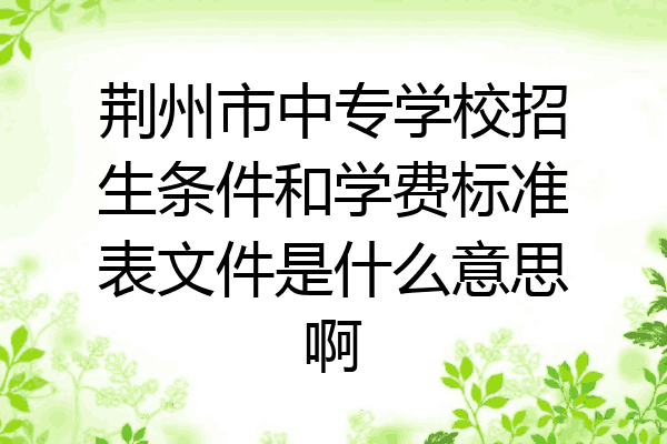荆州市中专学校招生条件和学费标准表文件是什么意思啊