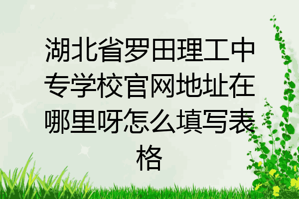 湖北省罗田理工中专学校官网地址在哪里呀怎么填写表格
