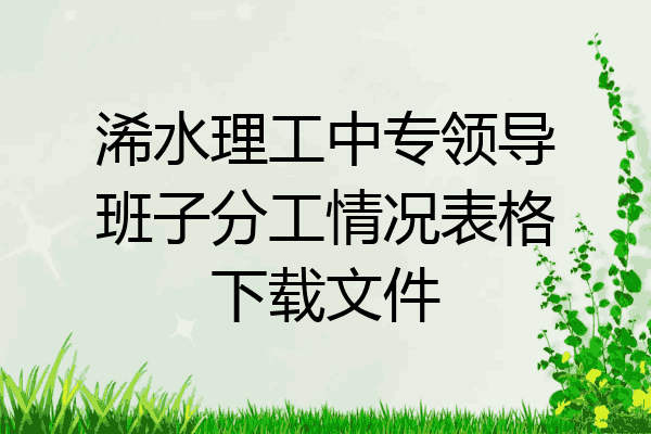 浠水理工中专领导班子分工情况表格下载文件