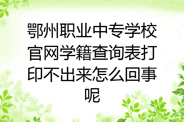 鄂州职业中专学校官网学籍查询表打印不出来怎么回事呢