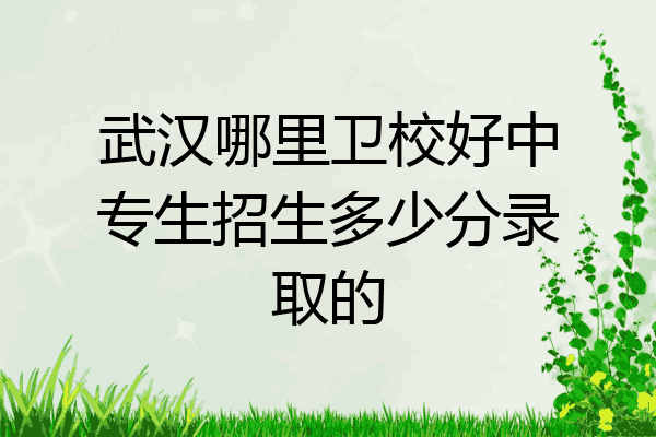 武汉哪里卫校好中专生招生多少分录取的