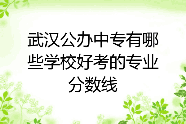 武汉公办中专有哪些学校好考的专业分数线