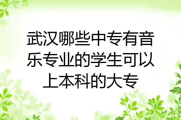 武汉哪些中专有音乐专业的学生可以上本科的大专