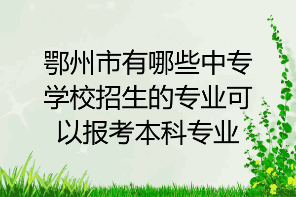 鄂州市有哪些中专学校招生的专业可以报考本科专业