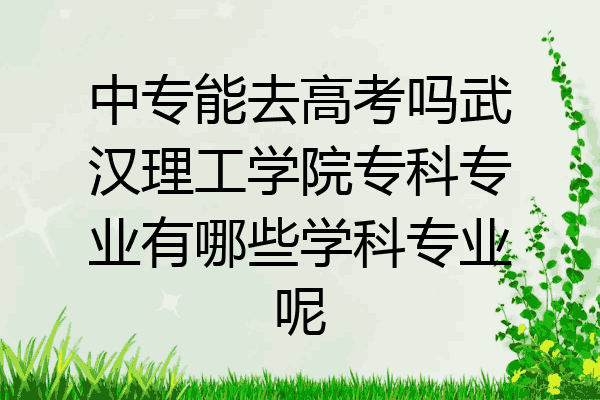 中专能去高考吗武汉理工学院专科专业有哪些学科专业呢